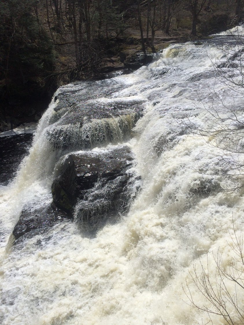 Regional waterways are awash with the flow of spring thaw, providing an exhilarating sense of cleansing and renewal. Seek out waterfalls, rivers, streams and wetlands for a healthy dose of that energizing force.